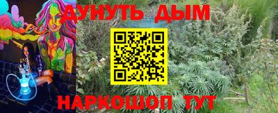 ECSTASY Ковров